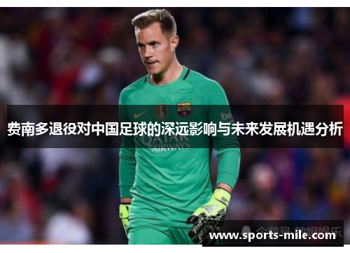 费南多退役对中国足球的深远影响与未来发展机遇分析