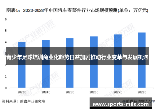青少年足球培训商业化趋势日益加剧推动行业变革与发展机遇