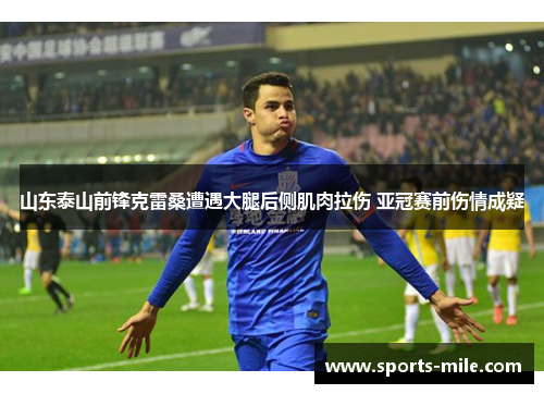 山东泰山前锋克雷桑遭遇大腿后侧肌肉拉伤 亚冠赛前伤情成疑 山东泰山前锋克雷桑遭遇大腿后侧肌肉拉伤 亚冠赛前伤情成疑