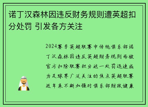 诺丁汉森林因违反财务规则遭英超扣分处罚 引发各方关注 诺丁汉森林因违反财务规则遭英超扣分处罚 引发各方关注